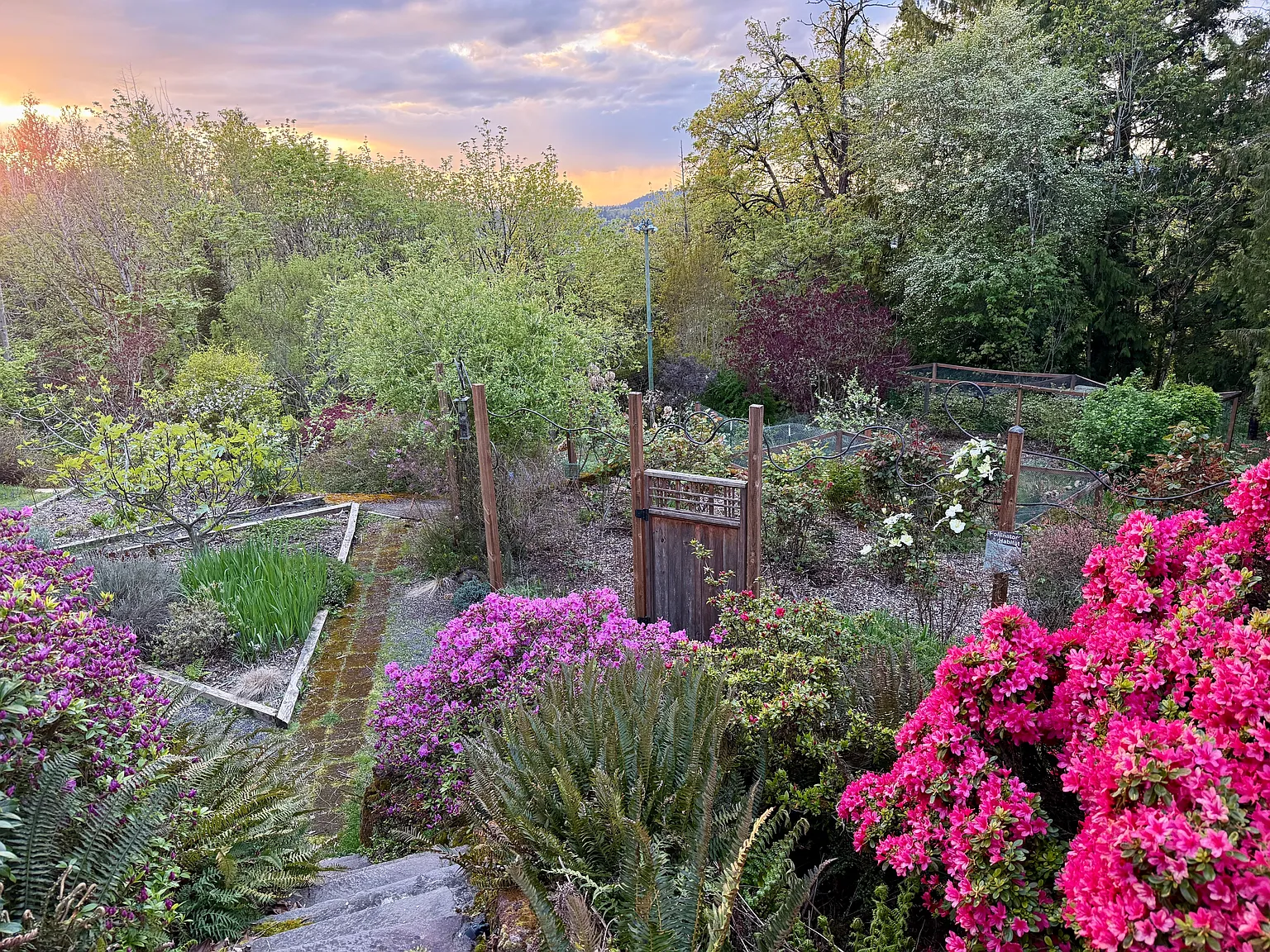 SE 118th Pl, Portland — Photo 3