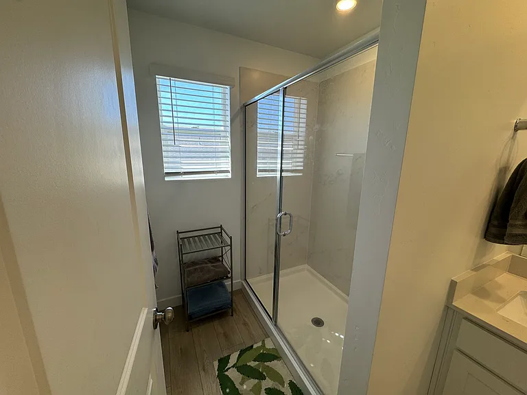 Master bathroom shower