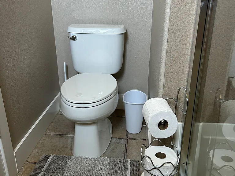 Top level Master bedroom bathroom toilet and shower