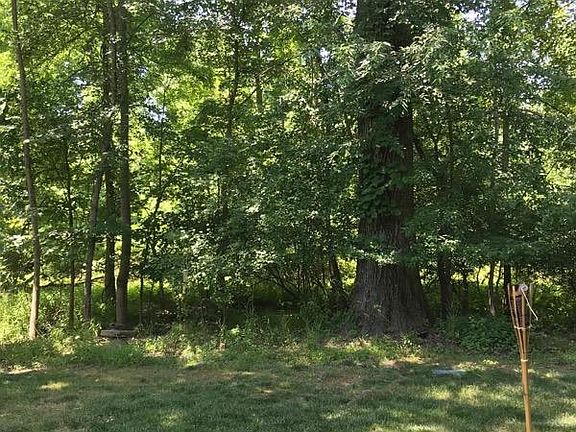2nd image of 55 Viburnum Ct