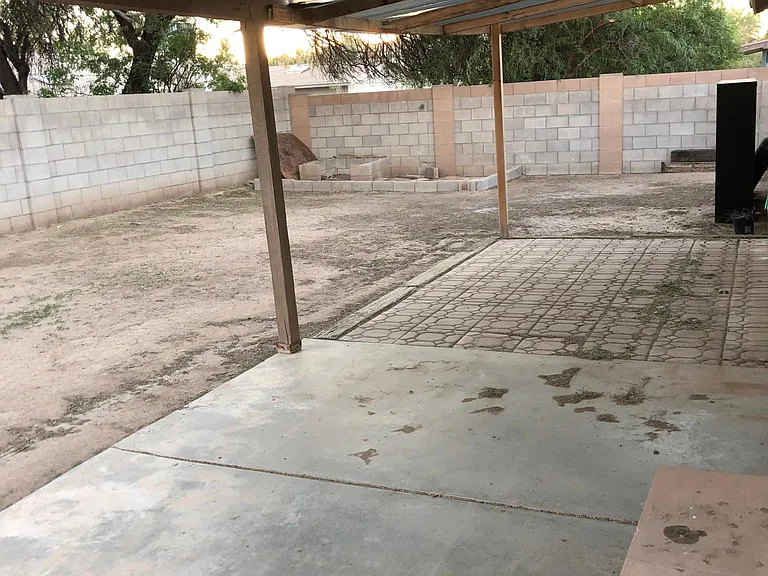 Backyard