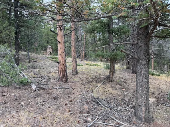 0 Toboggan Rd, Pine, CO 80470