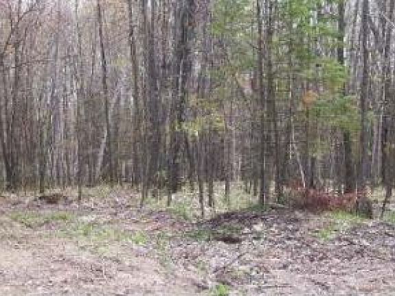 2nd image of ON GARRETT'S TRL