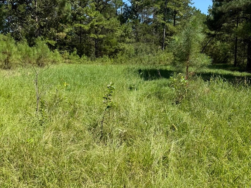 1st image of County Road 1113