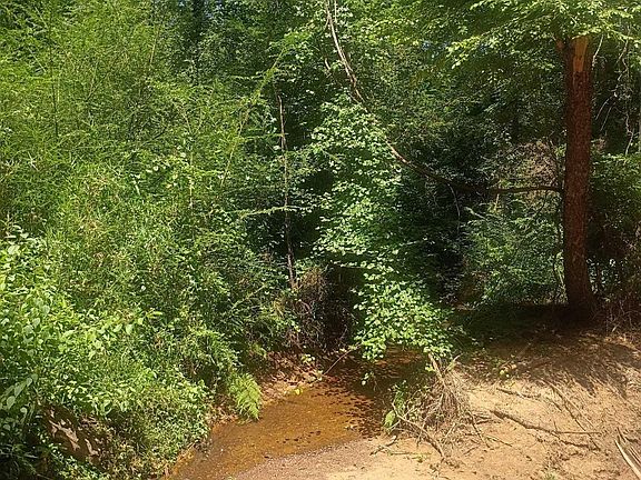 5th image of County Road 1708