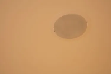 Rented by Distinct NYC