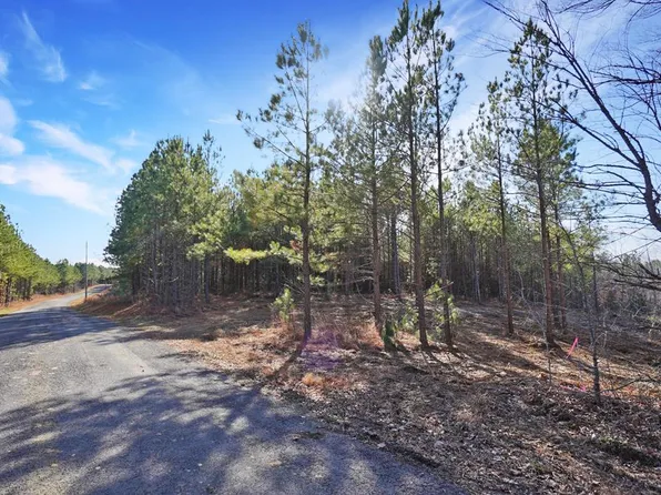 8 Ribbon Branch Rd, Dover, TN 37058