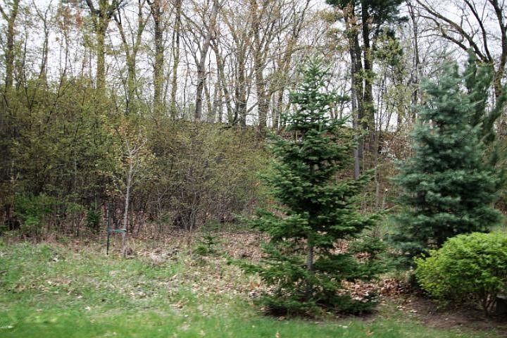 2nd image of 2405 View Ln #5