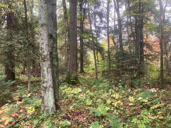 County Road R, Suring, WI 54174