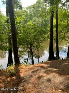 13 Riverview Drive, Burgaw, NC, 28425