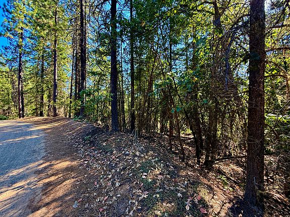 3rd image of 1200 Pine Forest Dr