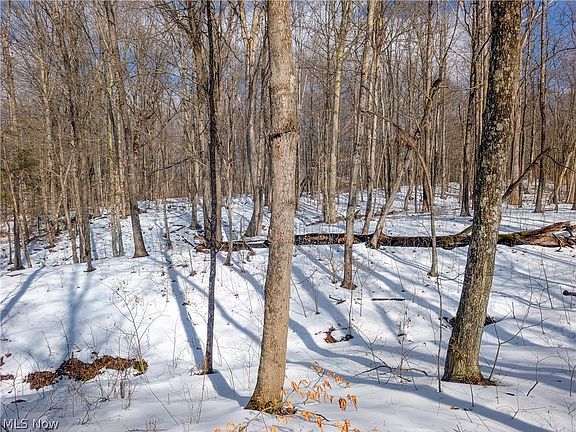 5th image of 0 Peaker Run Tract 15