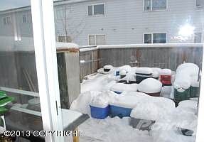 Fenced back yard
