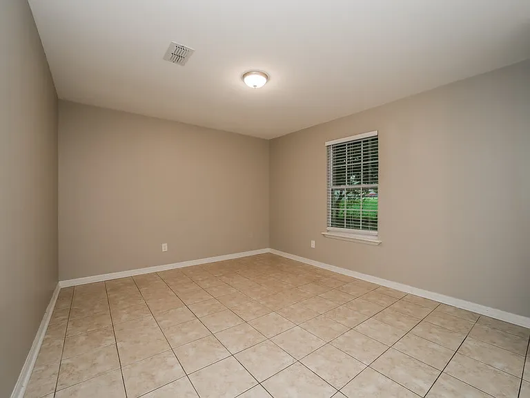 4782 Cinnamon Fern Dr — Photo 13