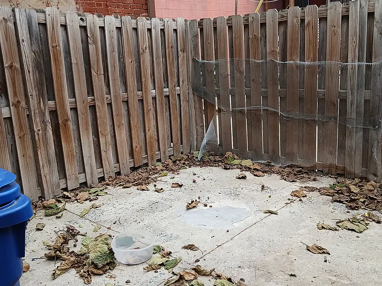 405 Furrow St — Photo 8