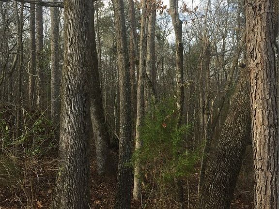 3rd image of 0 Creekwood Trl