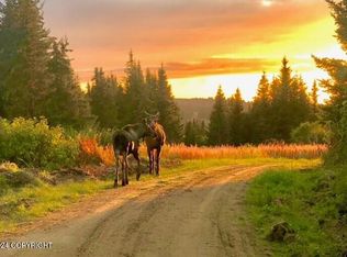 0 Bridge Creek Rd, Homer, AK 99603