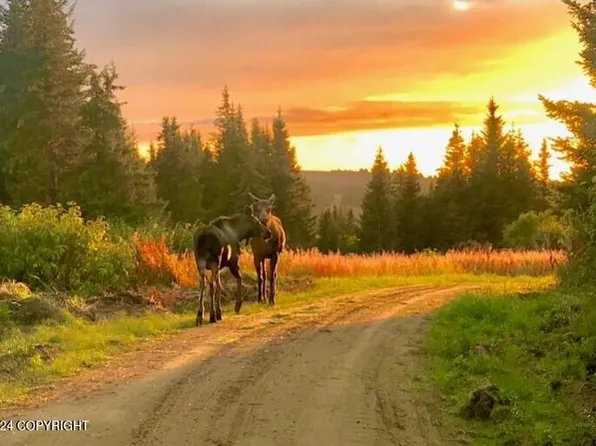 0 Bridge Creek Rd, Homer, AK 99603