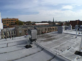 Rented by P Management