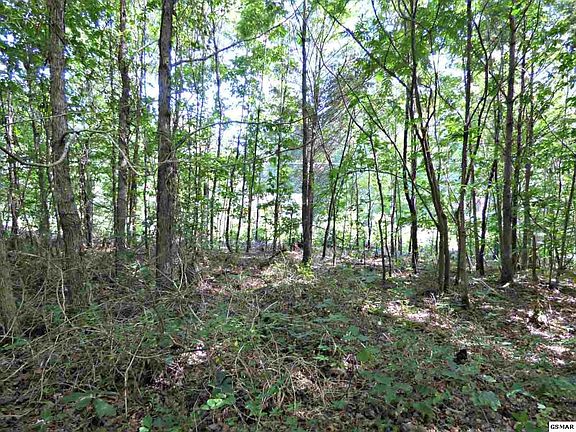 4th image of LOT 71 Chris Dale Dr Lot 71