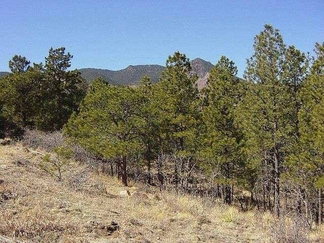 1.96 Beautiful acres in Peregrine!