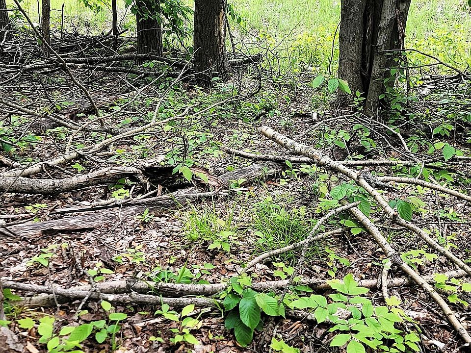 1st image of LOT 58 Lance Lake Rd