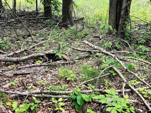 LOT 58 Lance Lake Rd, Wolverine, MI 49799