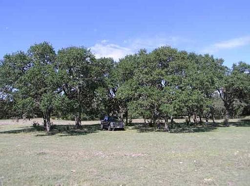 2nd image of TRACT 3 N PFEIFFER ROAD