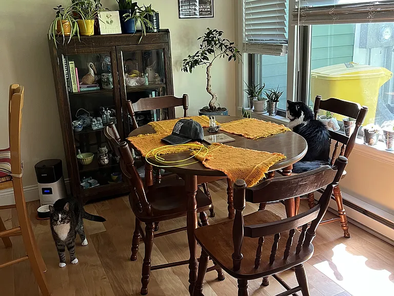 Dining room