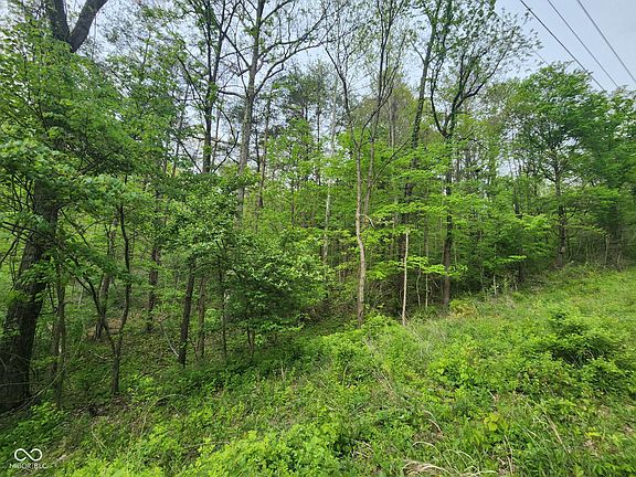 3rd image of 2921 W Cottonwood Rd