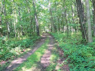 23 Button Shores Rd LOT 23, Baldwinsville, NY 13027