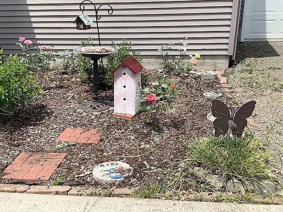 Great place for birds