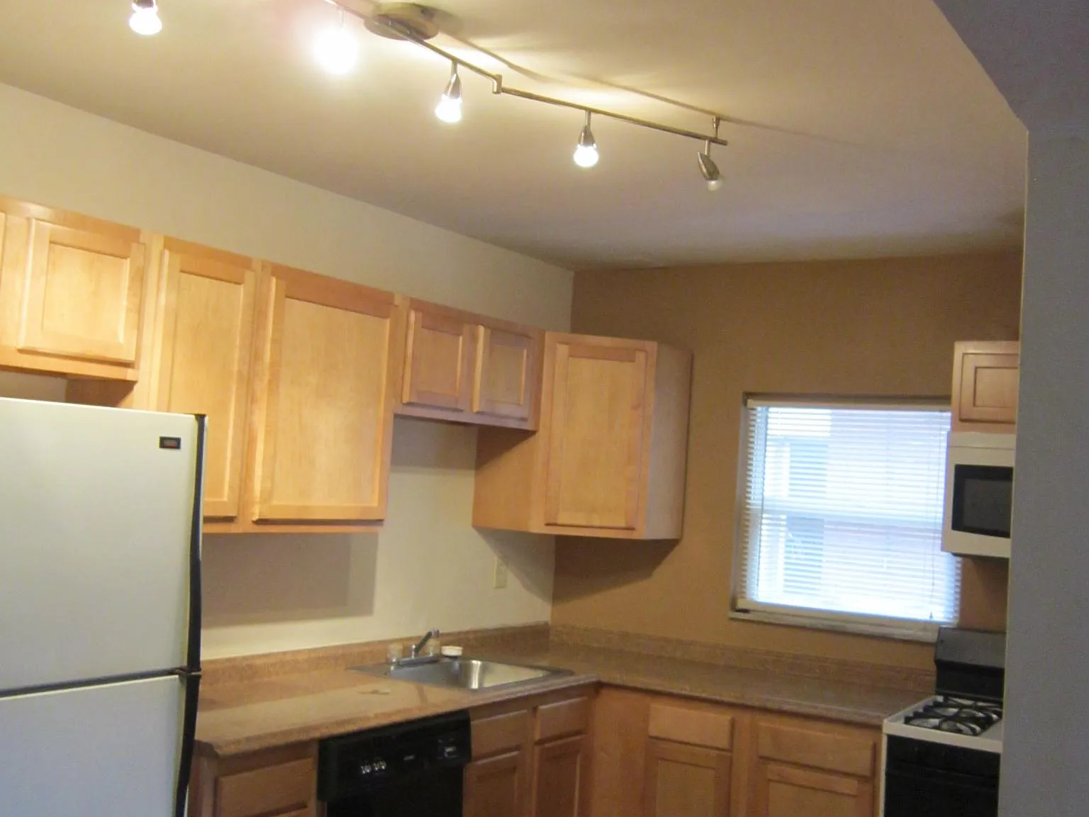 1 bed, 1000 sqft, $1,250 — Photo 4