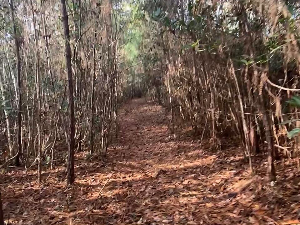 2nd image of Sr-1501 Sandridge Road