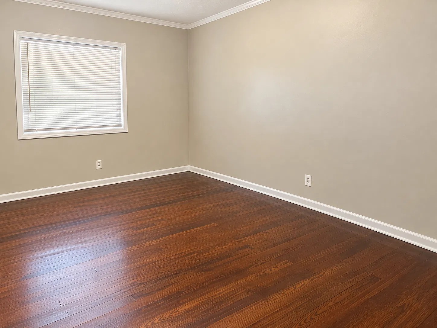 112 E. Pine Street Lafayette LA 70501 — Photo 2