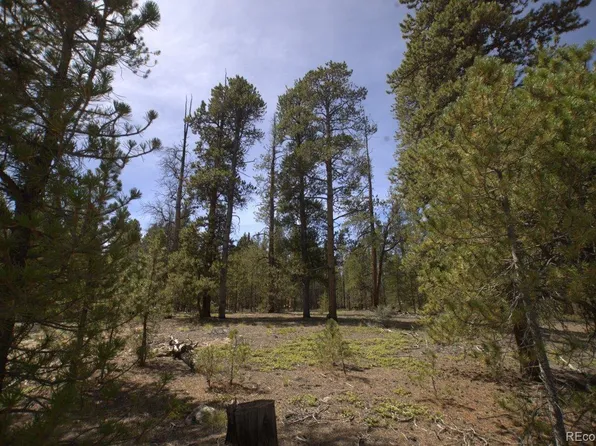 142 Birch Drive LOT 346, Twin Lakes, CO 81251