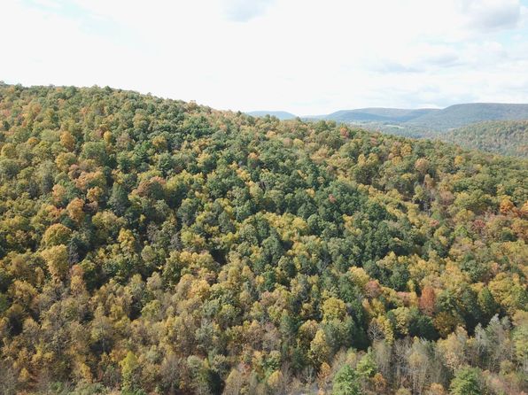 0 Schencks Grove Rd, Howard, PA 16841