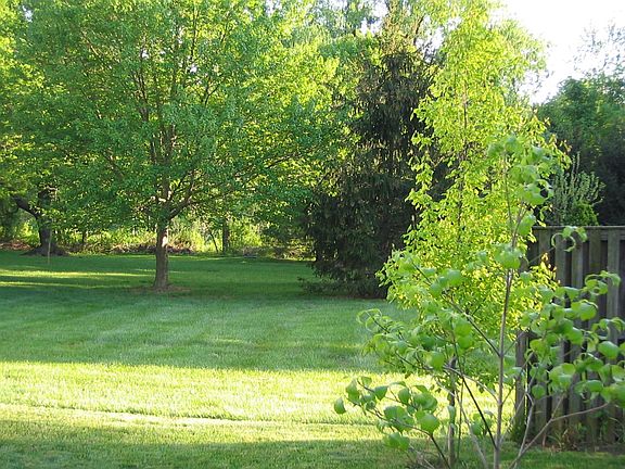 Backyard looking to Common Area
