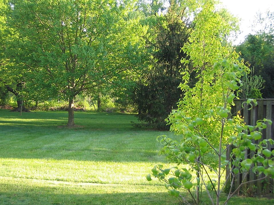 Backyard looking to Common Area