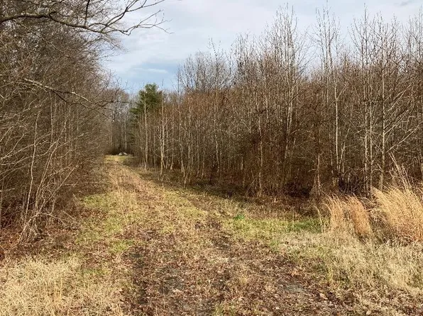 1224 Proctors Purchase Rd, Hartly, DE 19953