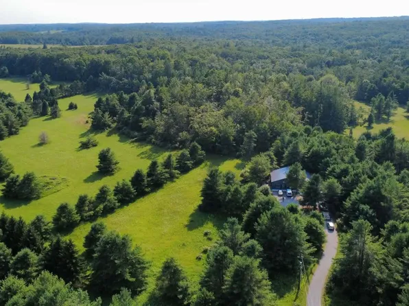 4870 E Malaski Rd, Black River, MI 48721