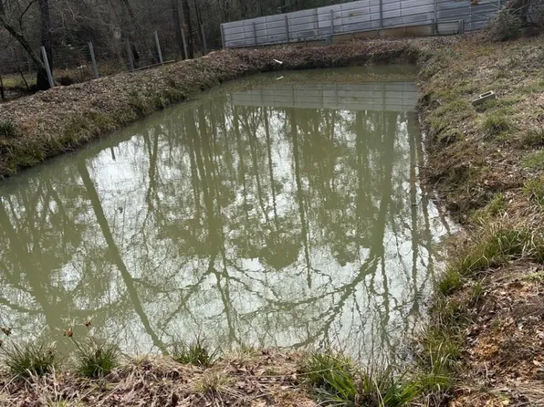 41 Deer Run, Shepherd, TX 77371