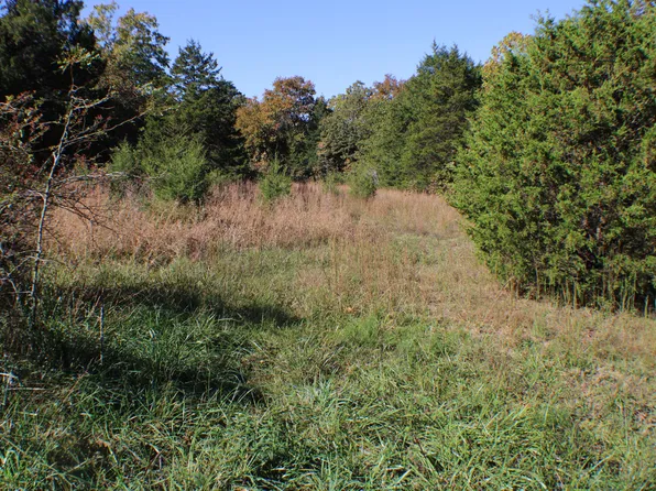 000 State Route Oo, Caulfield, MO 65626