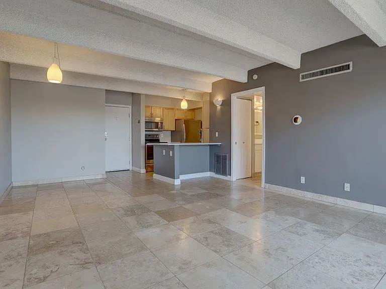 1433 N Williams St #503 — Photo 8