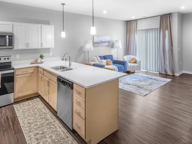 Kitchen 1 Bedroom Apartment