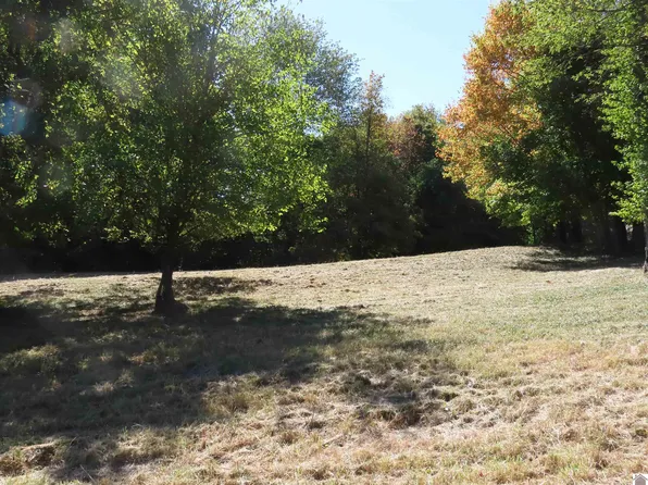 0 Pacific Ave, Wingo, KY 42088