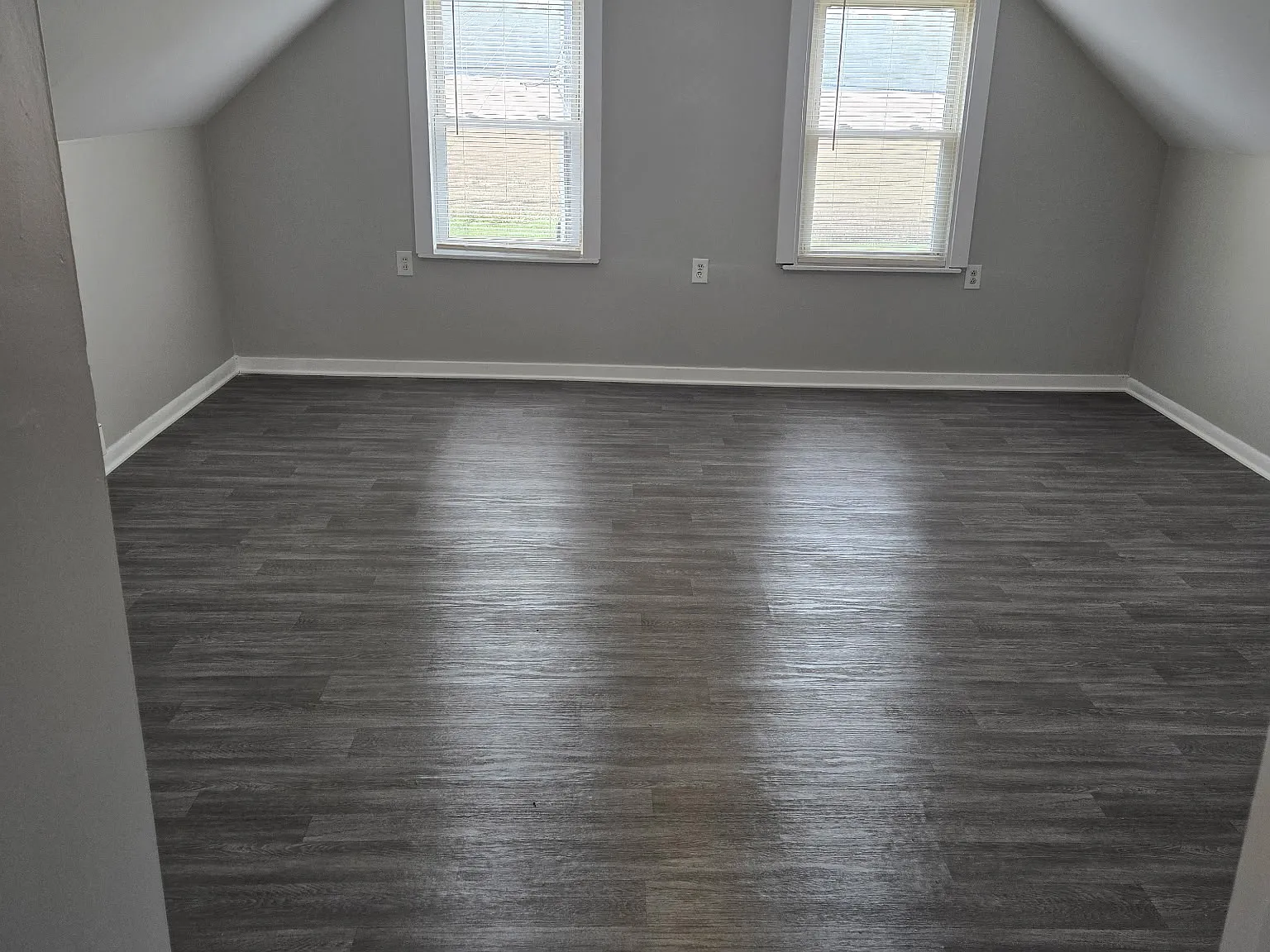 Studio, $900 — Photo 2