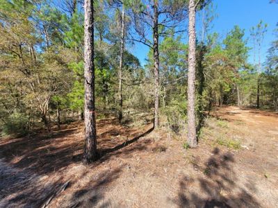 2 Red Mulberry Ln, Defuniak Springs, FL, 32433