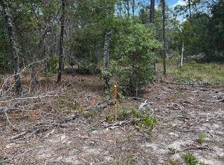 SW 57th Ave LOT 48, Interlachen, FL 32148