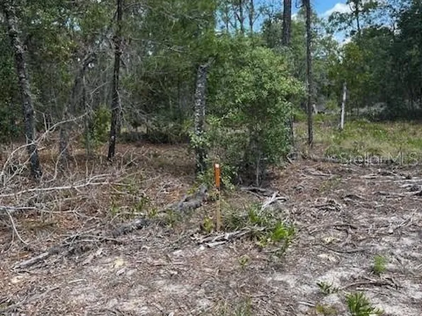 SW 57th Ave Lot 48, Interlachen, FL 32148